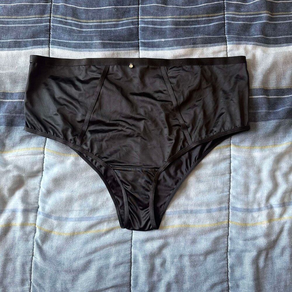 NWOT Torrid Black Shine Microfiber And Diamante Mid Rise Cheeky Panty 2X